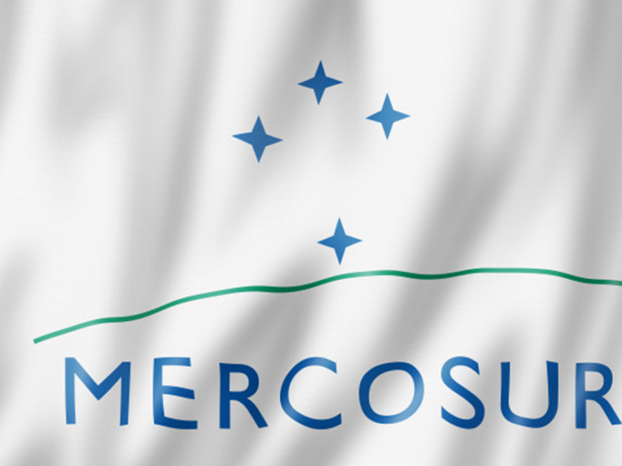 Mercosur: el bloque cumple 30 años en medio de una crisis de identidad